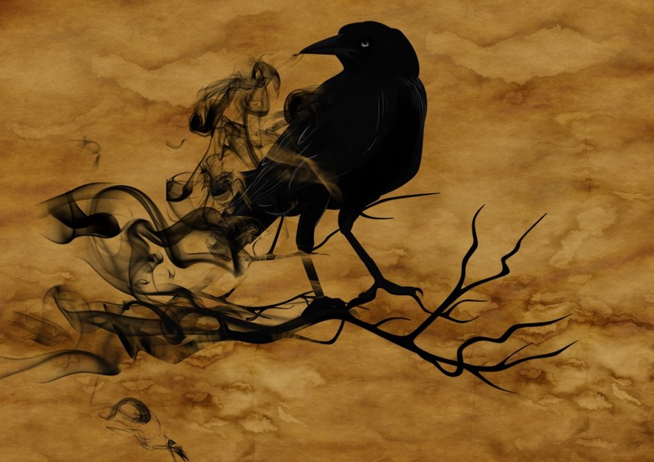 graphic image of the mystical crow