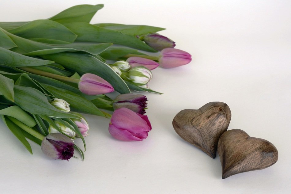 Tulips Flowersand wood Heart