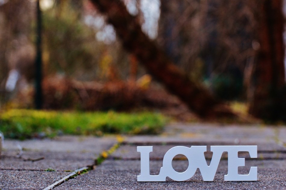 word 'love' among the park