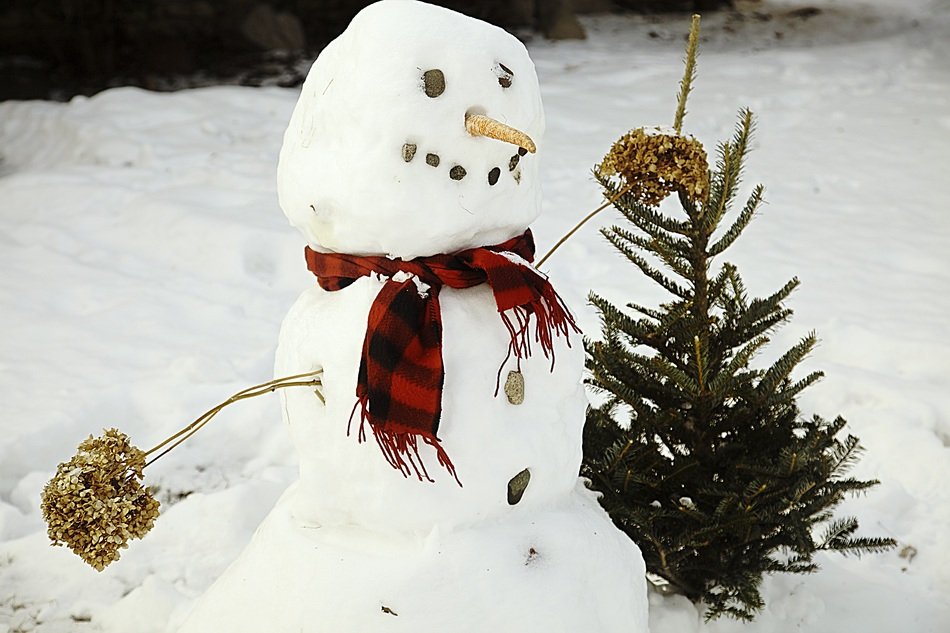Snowman beside fir-tree on Snow