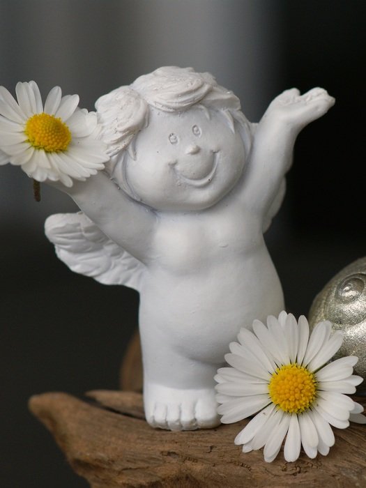 cute angel with daisies