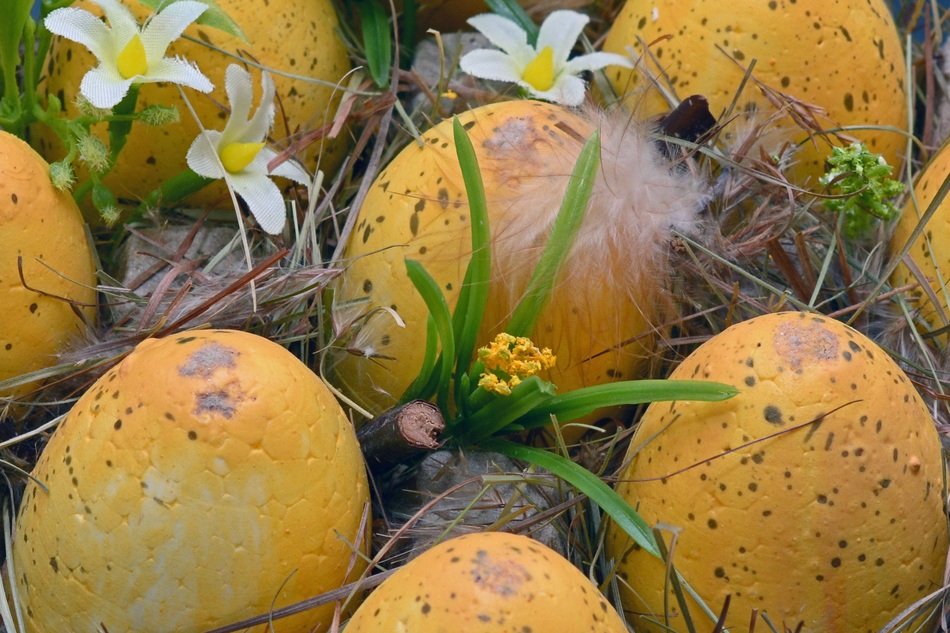 yellow easter eggs in the nest