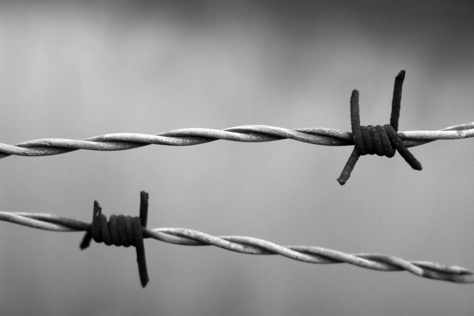 spikes barbed wire