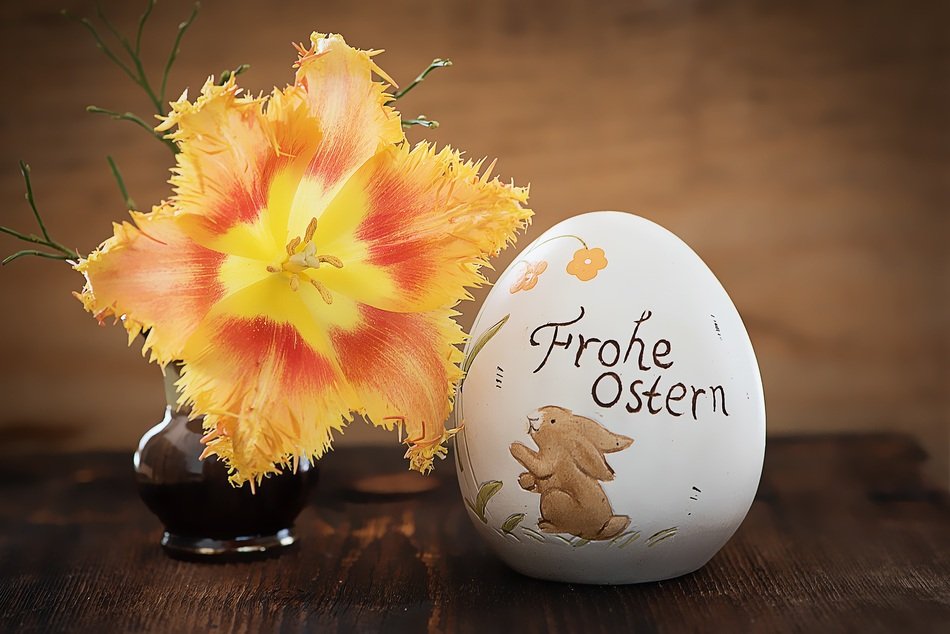 image of egg and orange flower