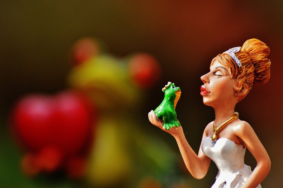 frog in the hands of the bride