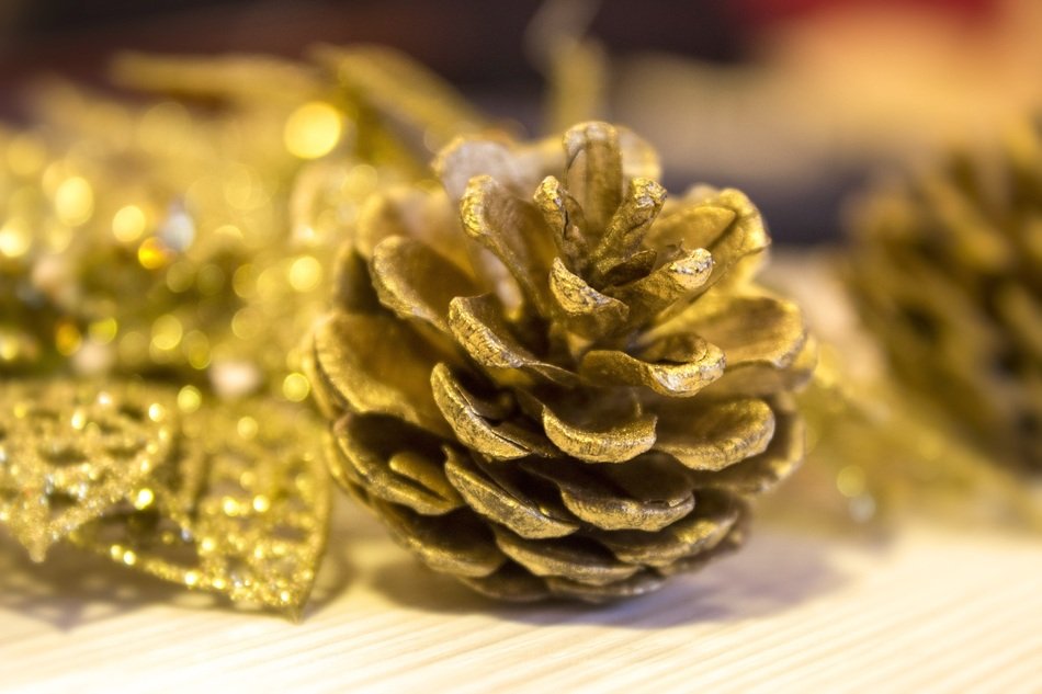 small gilded pine cone, Macro