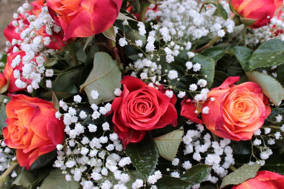 picture of the Bouquet of Red Roses