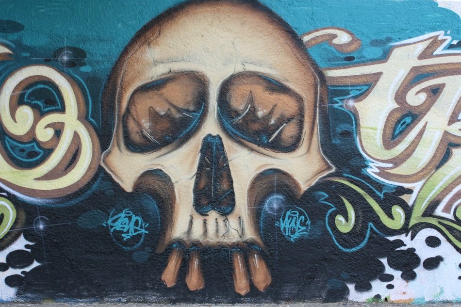 skull graffiti on the wall