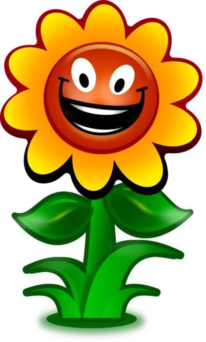 caricature of the sunflower