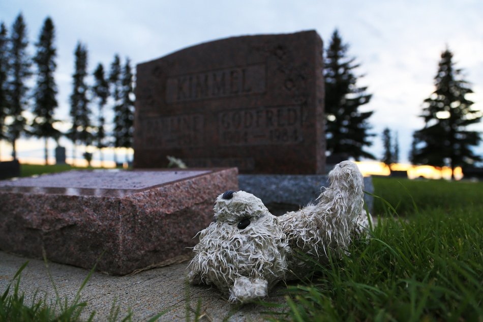 Cemetery Bear