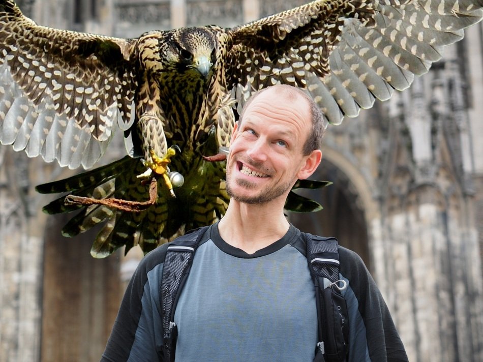 attack of the falcon
