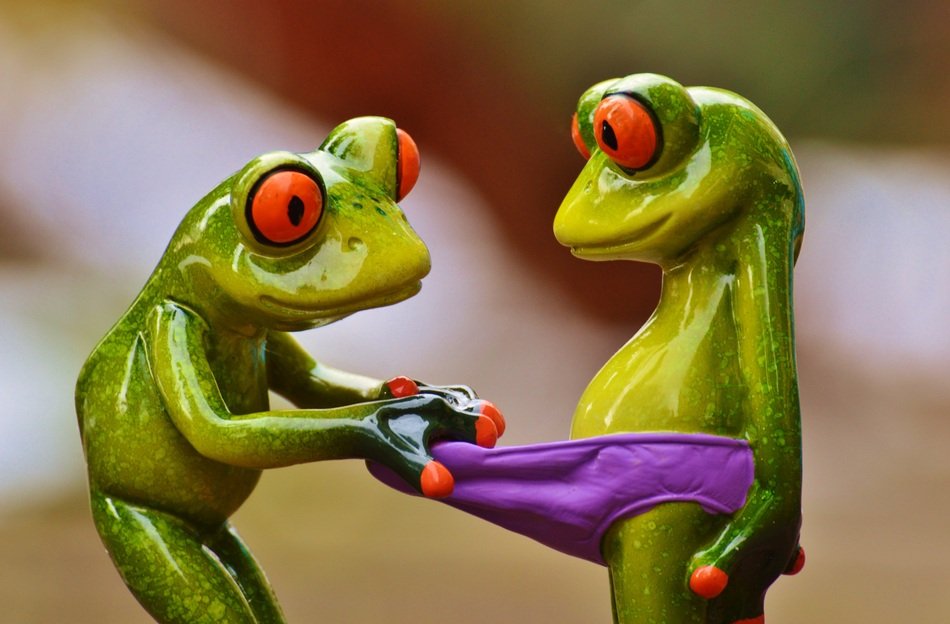 figure of green frogs showing curiosity close up