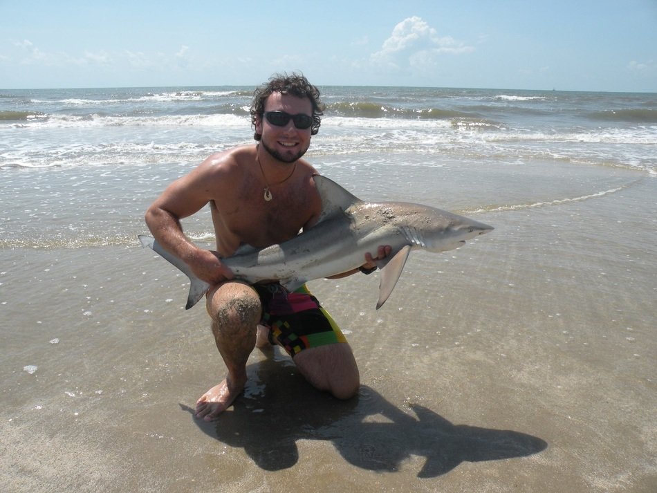 shark in the hands of a marine biologist