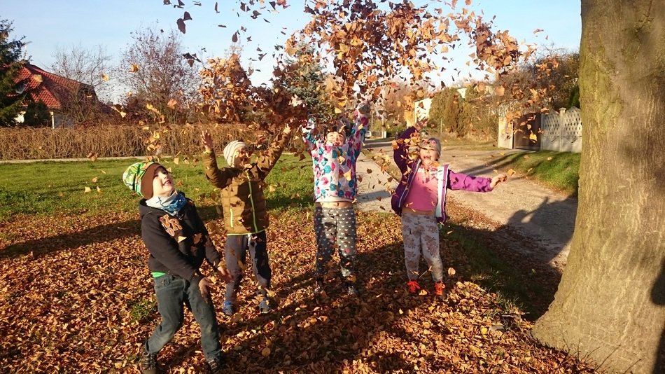 children throw dry leaves up