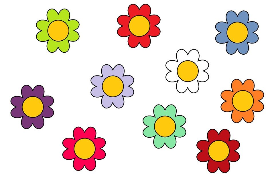 variety of colorful daisies as a graphic image