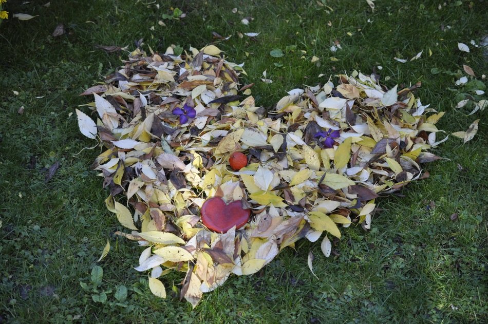 Leaves Fall heart