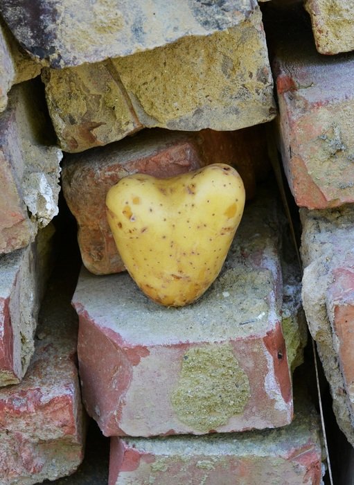 potato in form of heart