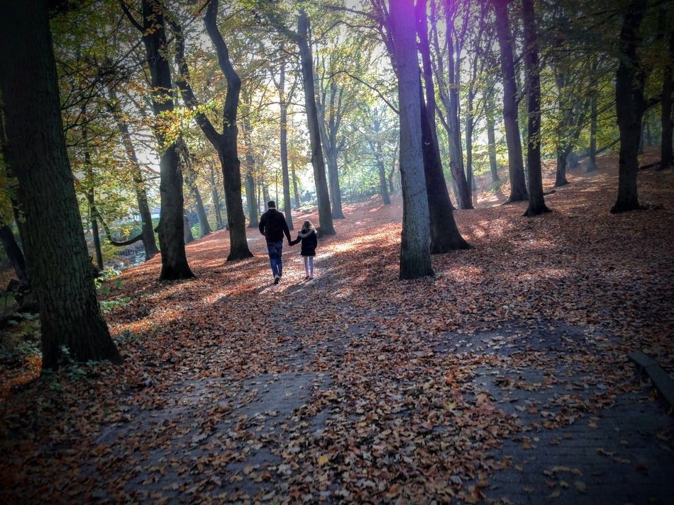 father and baby in autumn forest