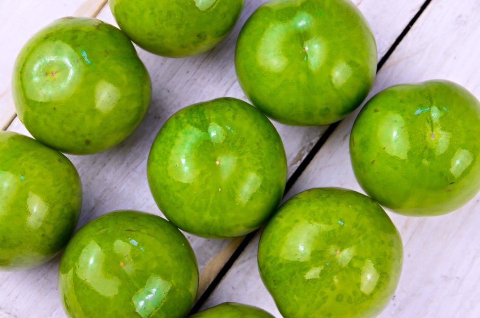 green glossy plums