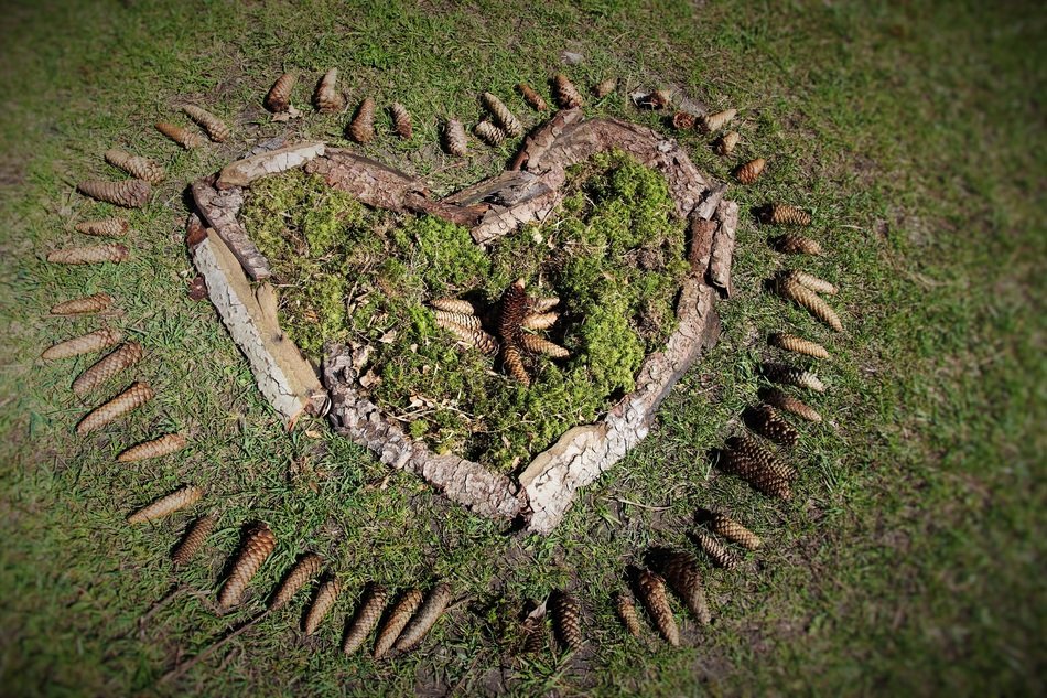 Pine cones laid out in the form of hearts on a grass