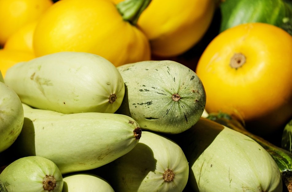 variety of zucchini