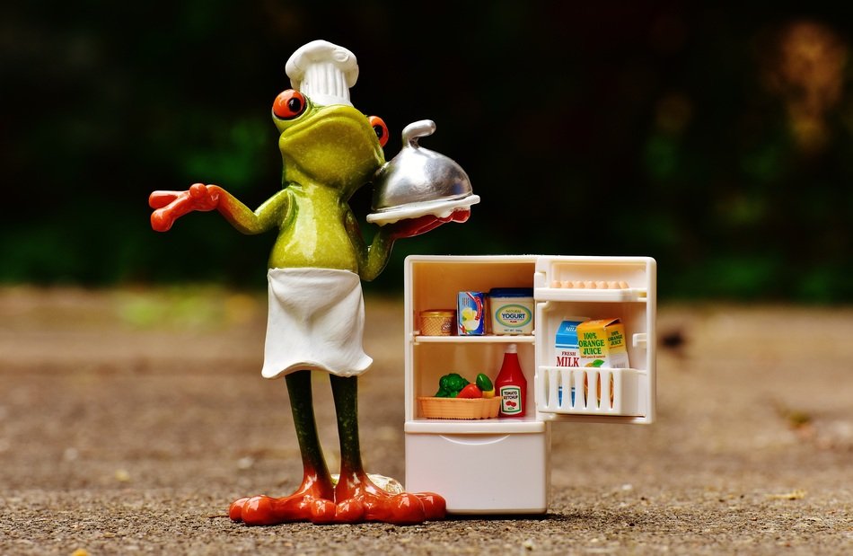 Frog and refrigerator
