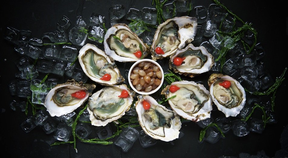 oysters as a gourmet delicacy