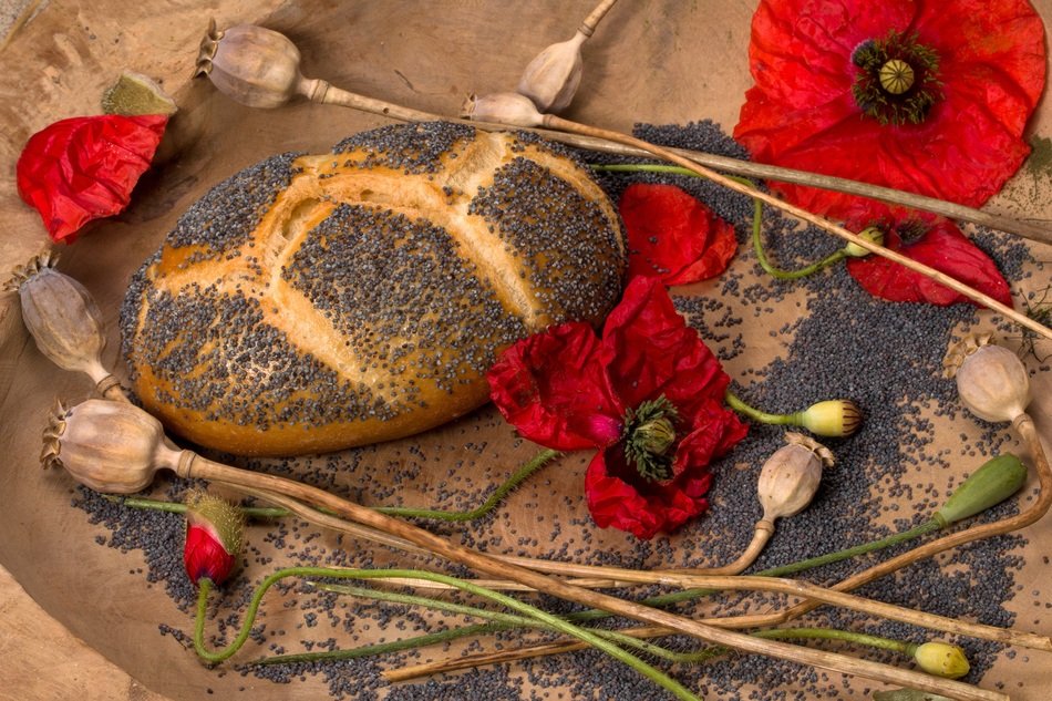 bread lies among the poppy