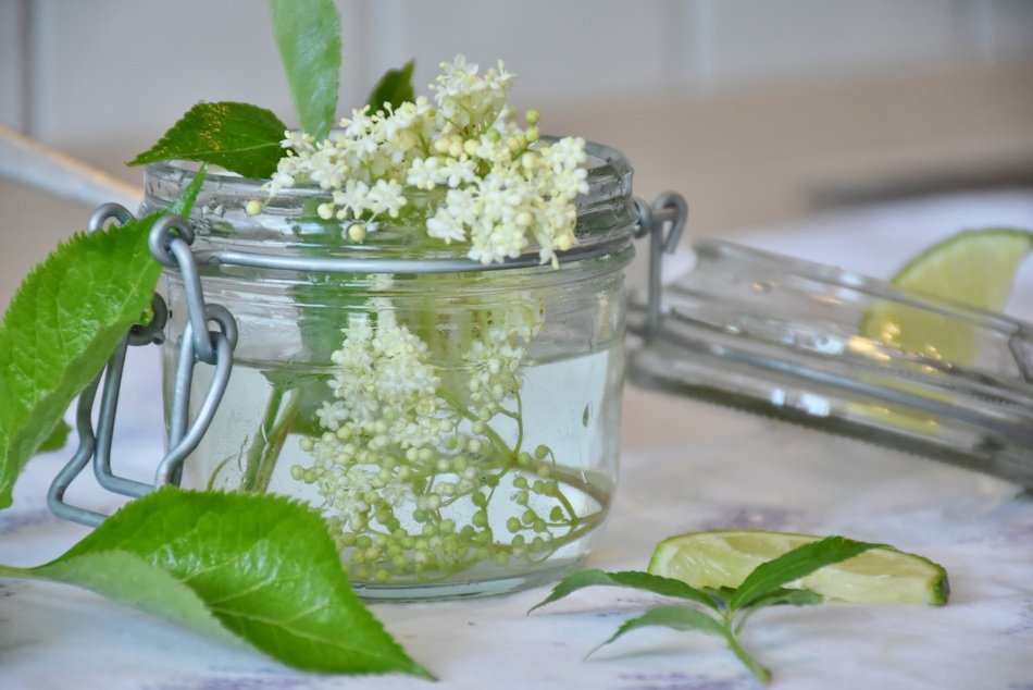 Elderflowers in the glass