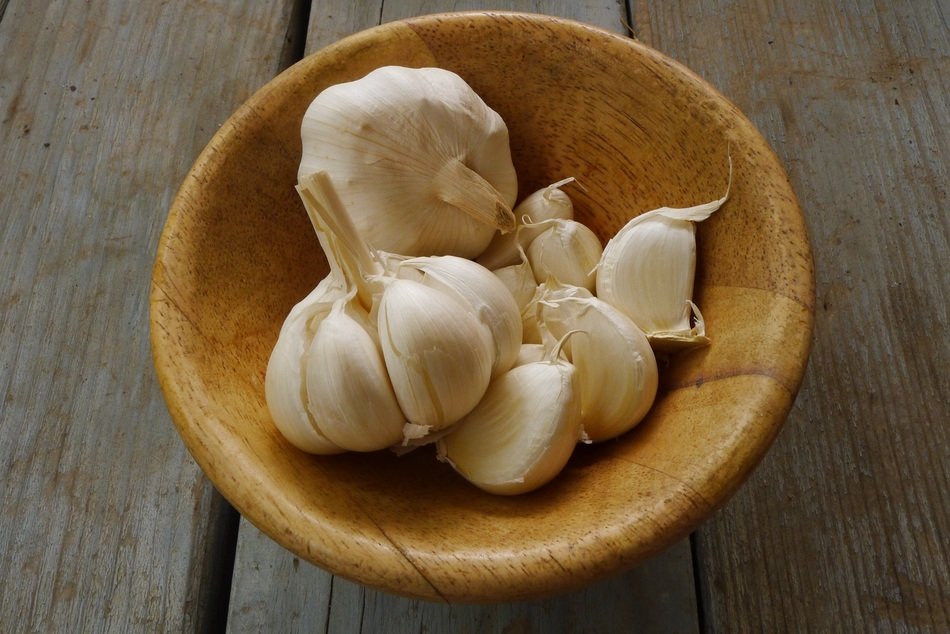 Garlic in the bowl