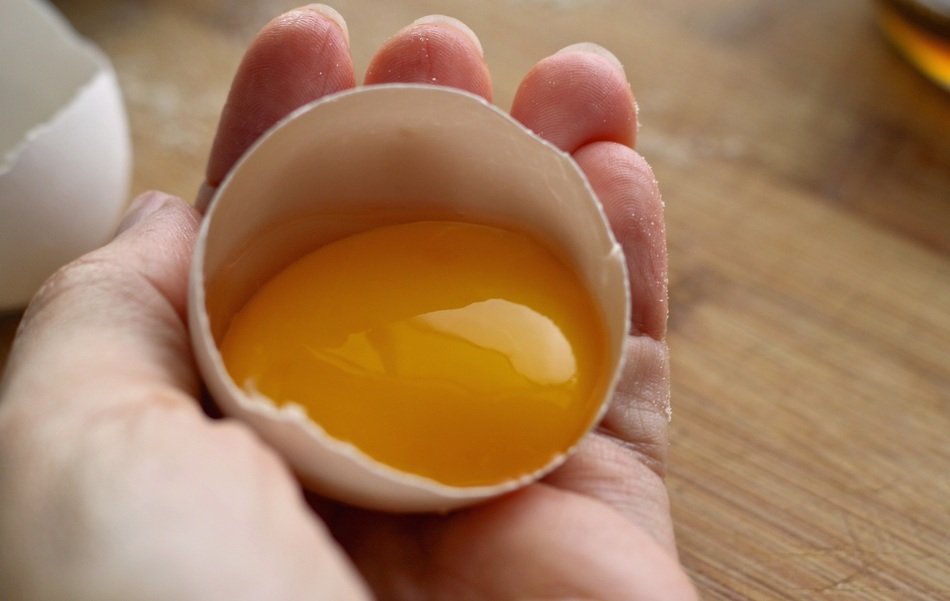 yolk in a egg shell in the hand