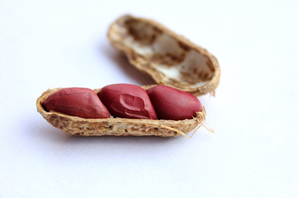 three peanuts in shell