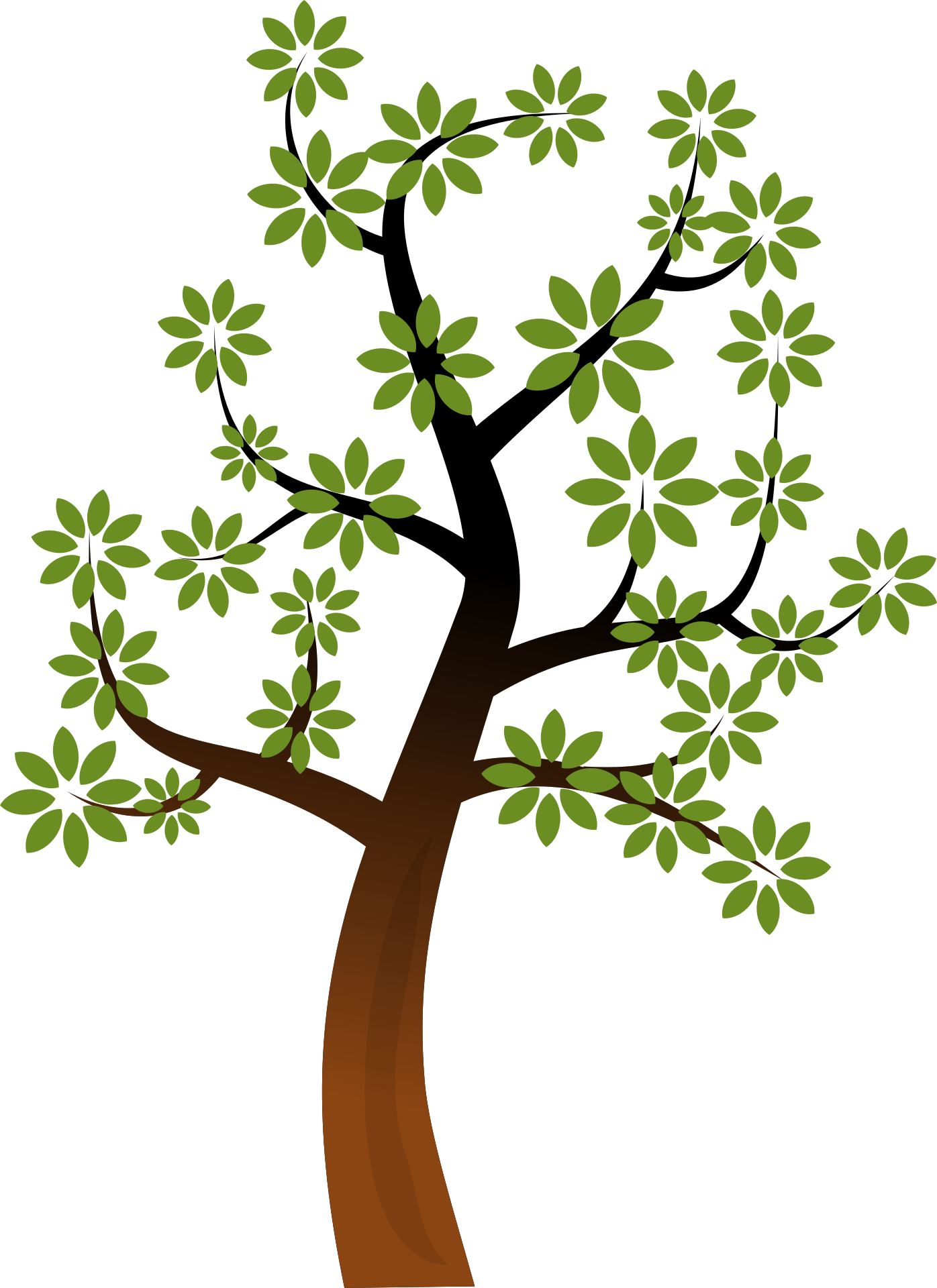 picture-of-tree-free-image-download