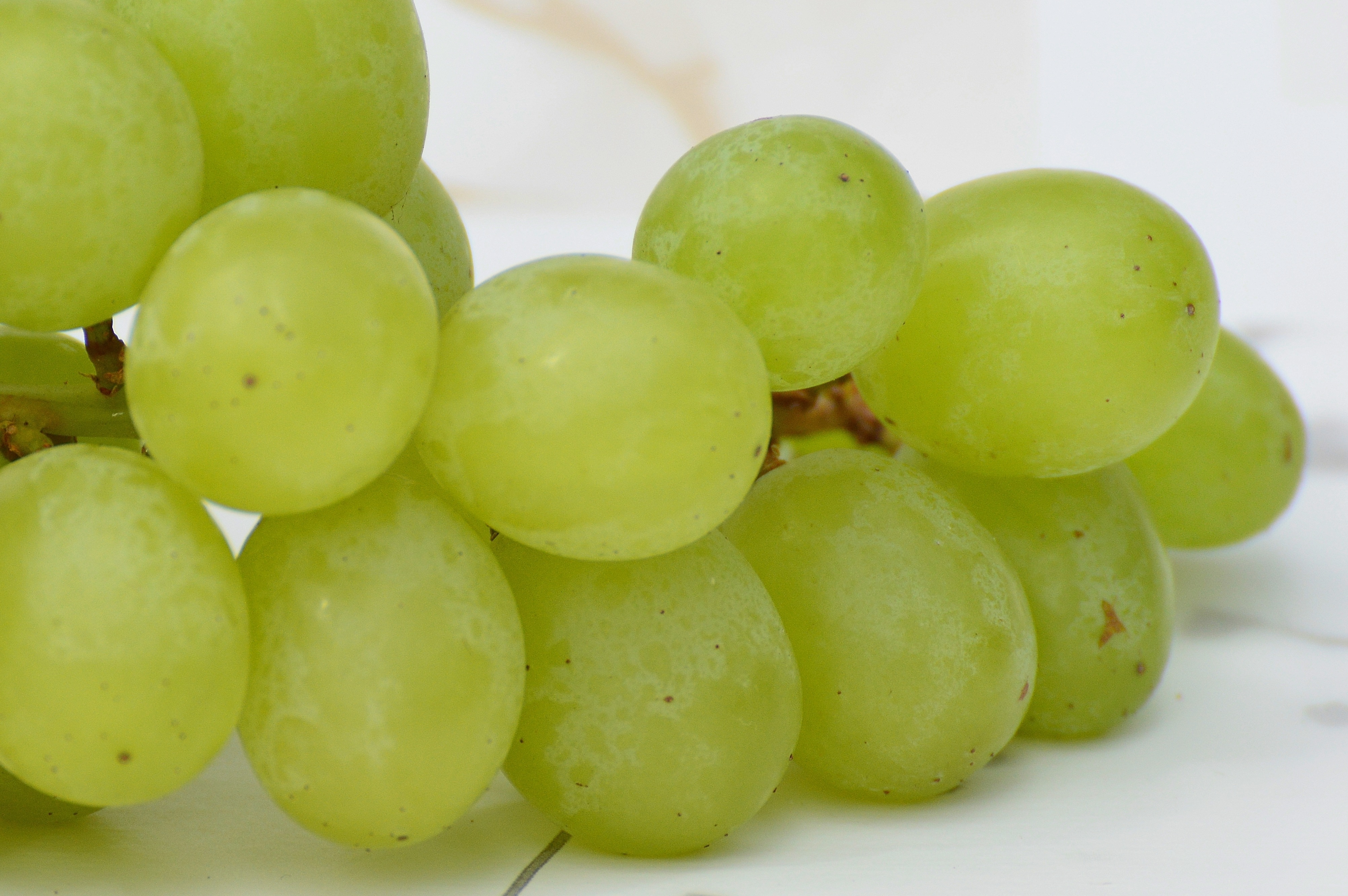 Зеленый столовый виноград