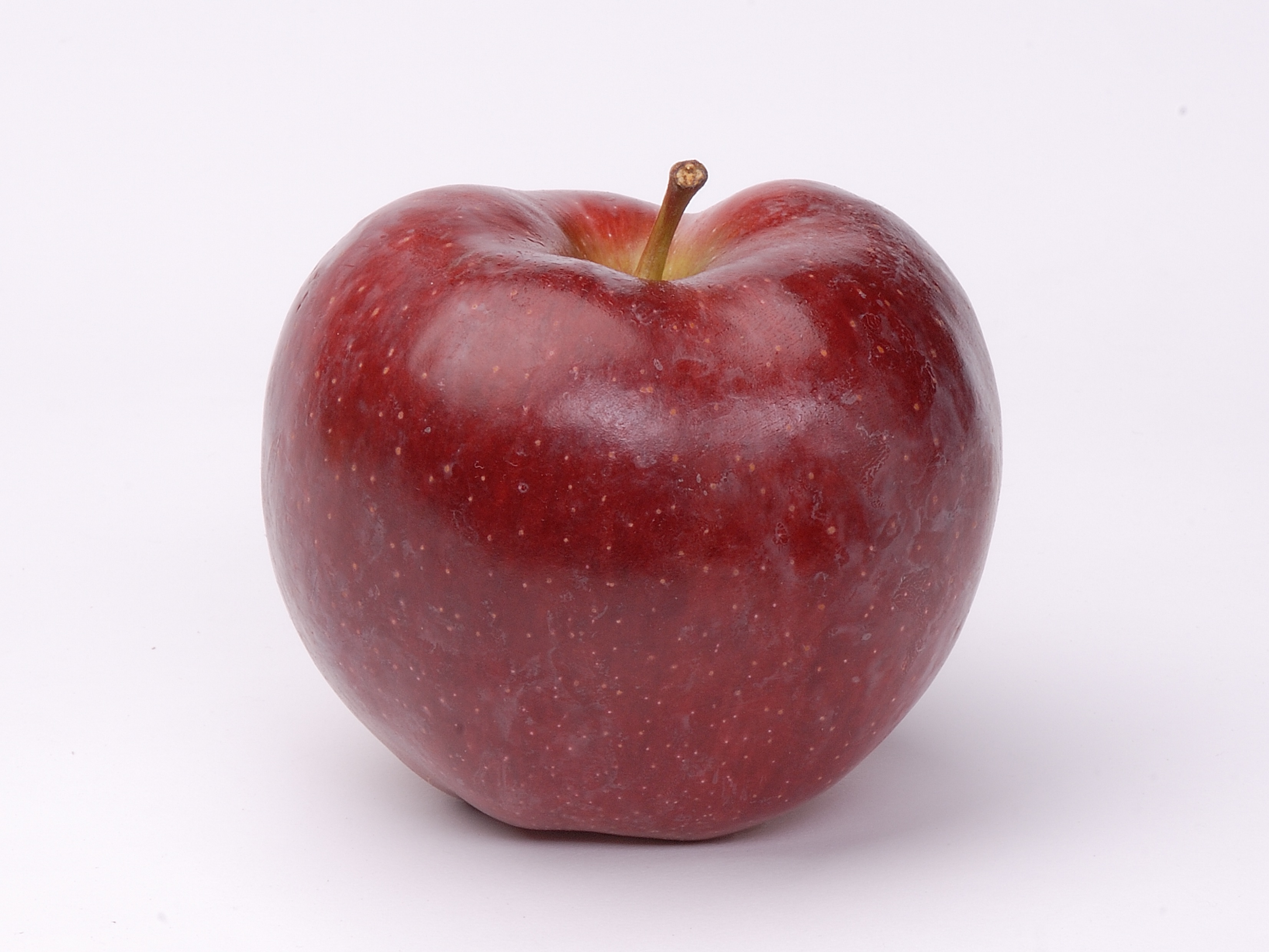 фотография красного яблока