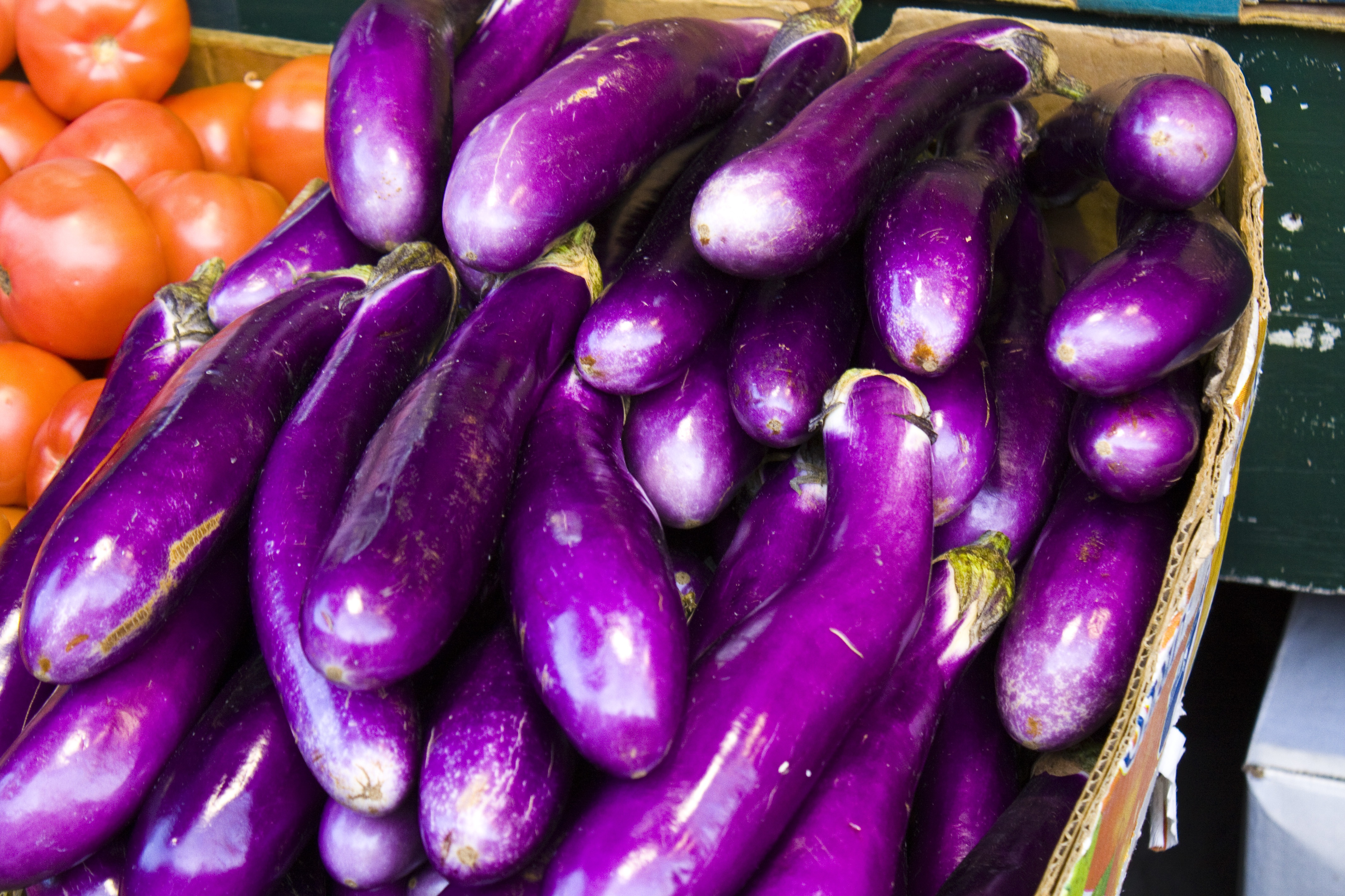 Eggplant Insertion