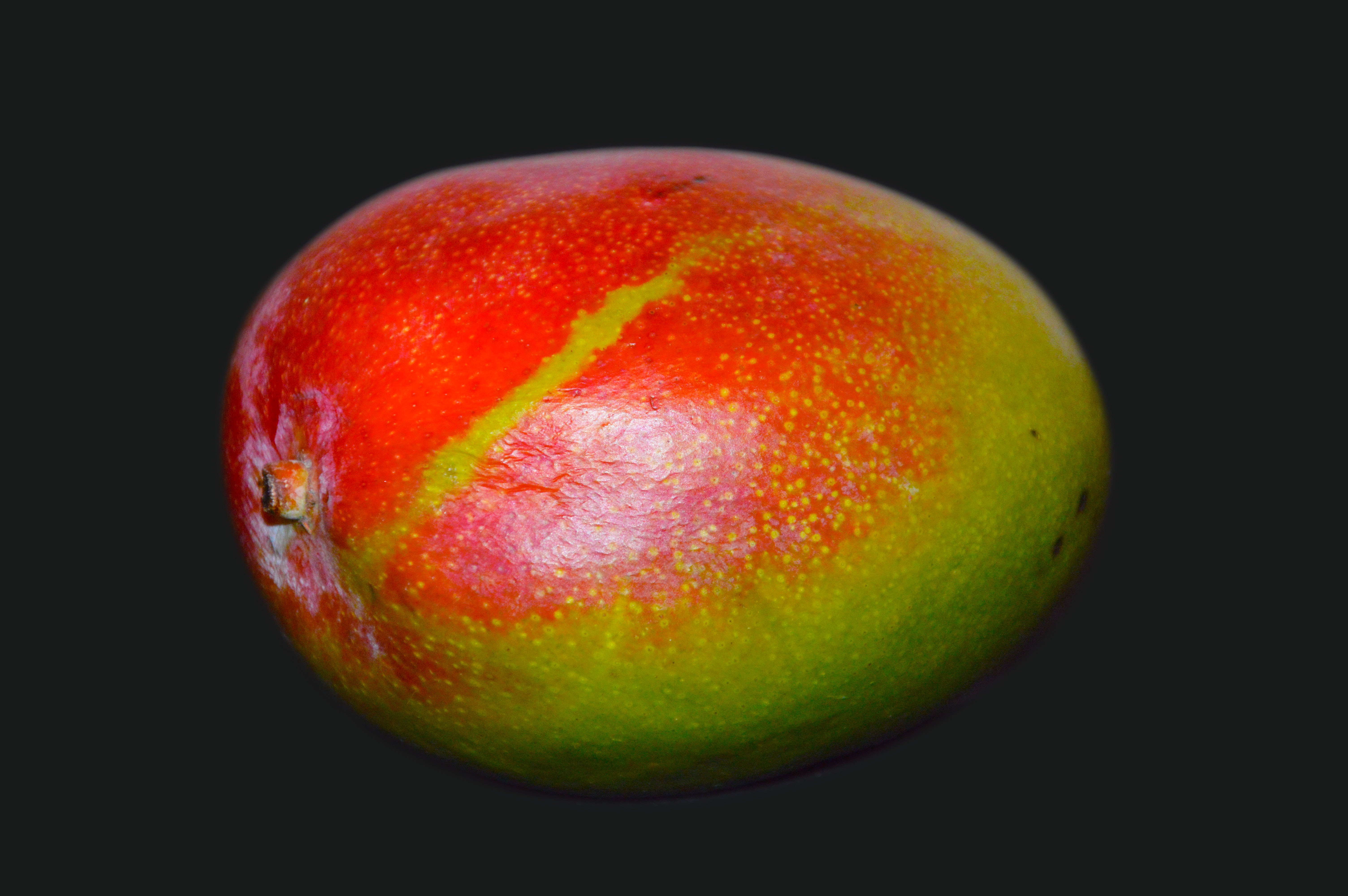 Незрелый плод манго