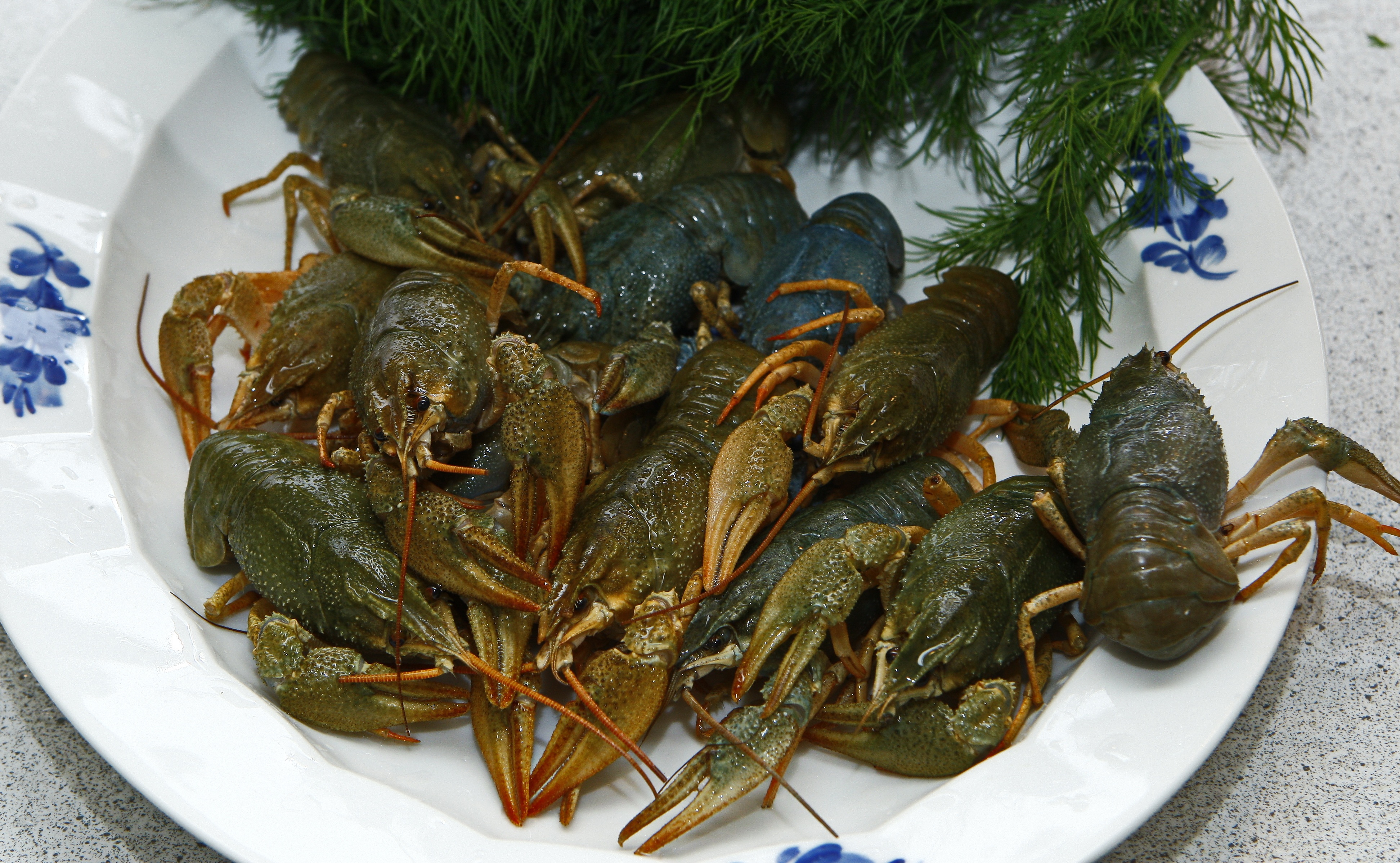 Crayfish Seafood