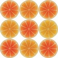 Orange Slices Fruit drawing