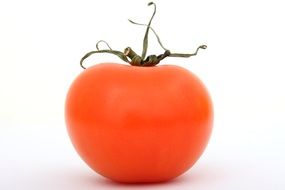 fresh tomato close up