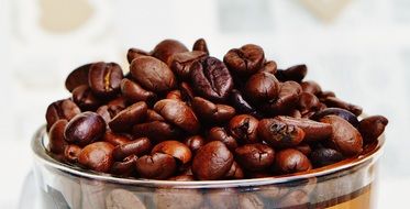 Coffee Beans in in a bowl close-up on a blurred background