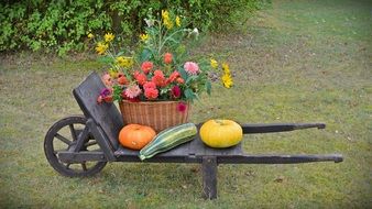 Thanksgiving autumn Decoration
