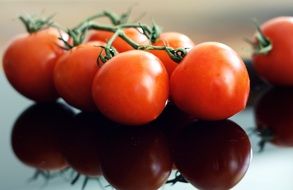 Red Tomatoes on green branch