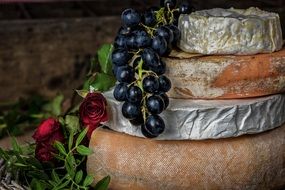 Cheese and Grapes as a still life