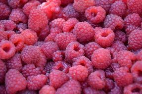 background with raspberries