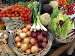 harvested organic farm vegetables