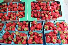 strawberries in trays on the market for sale