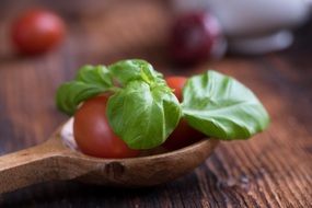 red tomatoes and fresh herbs in a wooden spoon