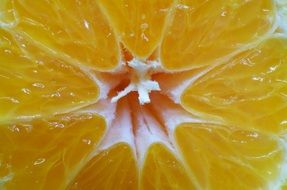 tangerine in a cut closeup