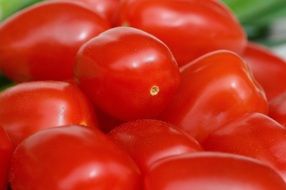 garden Tomatoes Vegetables Macro Red